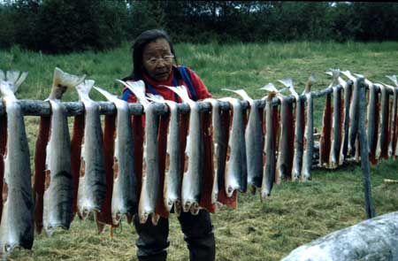 June Tracey of Nondalton hanging her salmon on her fish racks to dry