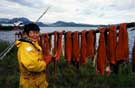 subsistence salmon fishing in Lake Clark