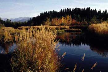 Glacier Flats Creek, Tustumena Lake drainage