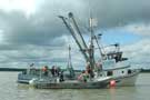 offloading salmon on to a tender boat
