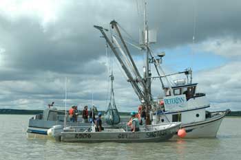 catcher/tender fishing boat in Bristol Bay