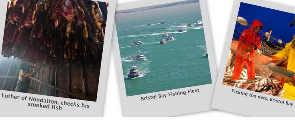 Bristol Bay Fisheries